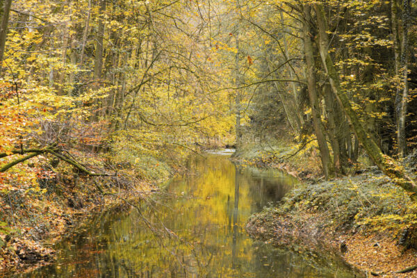 Liebethaler Grund