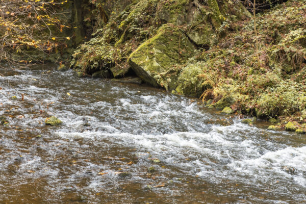 Liebethaler Grund