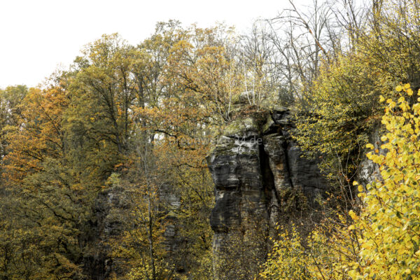 Liebethaler Grund