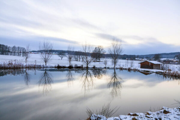 Teich in Bernsdorf bei Lichtenstein im Winter