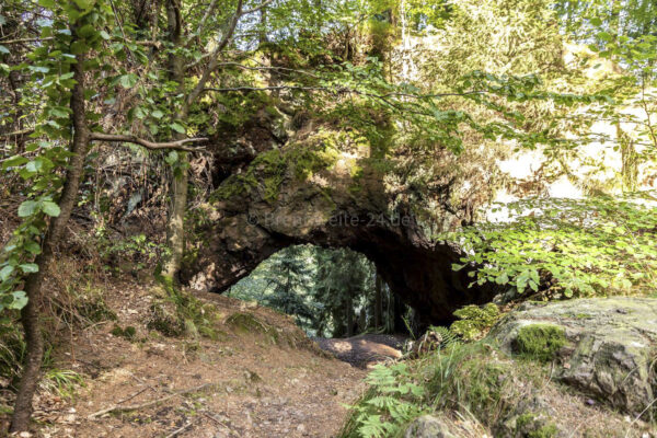 Torstein im Lauchagrund bei Tabarz / Thüringer Wald