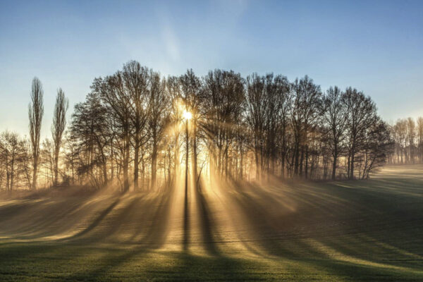 Sonne und Schatten in Bernsdorf / Lichtenstein