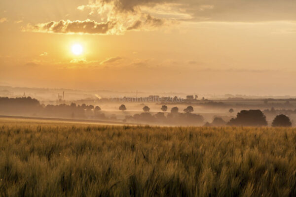 Sonnenaufgang - Blick nach Oberlungwitz