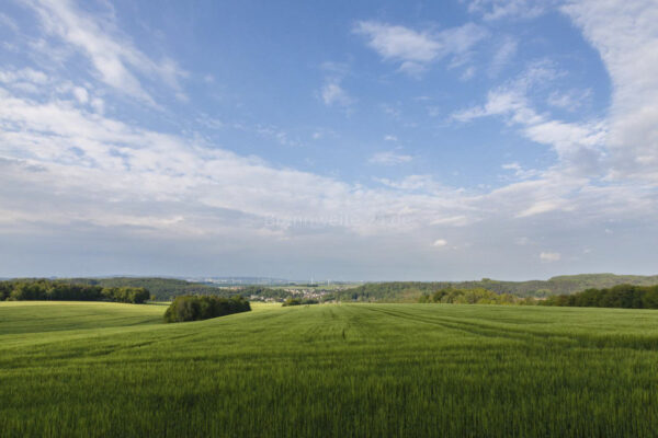 Blick Richtung Rödlitz