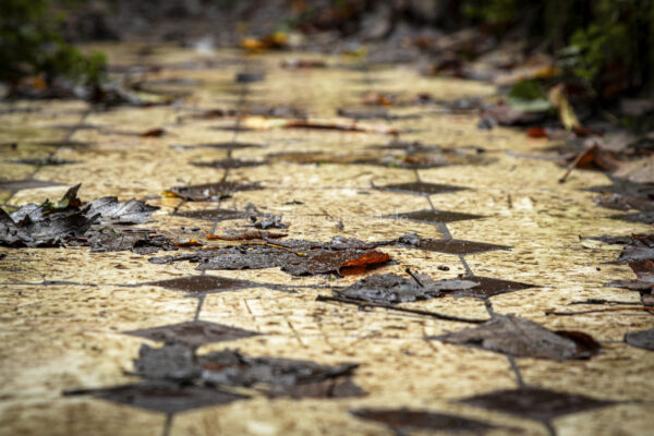 Wasserkraftwerk Liebethaler Grund